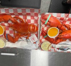 Lobster 3