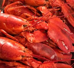 Lobsters