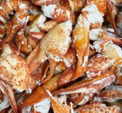 Sea Food (1)