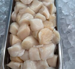Seafood (3)