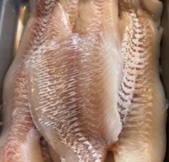 Seafood (6)